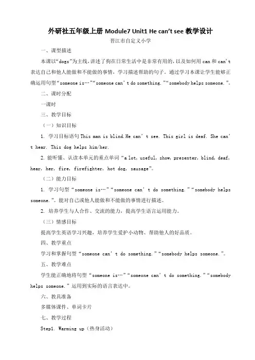 He can't see 教案