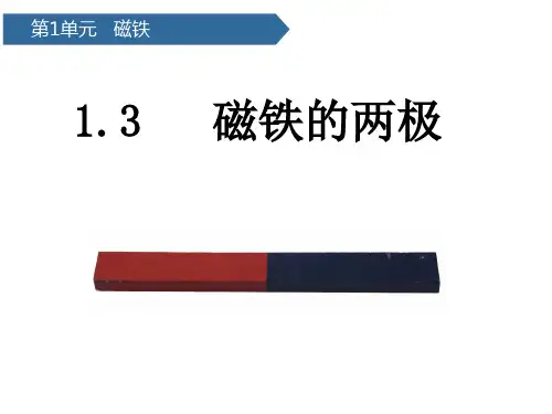 二年级下册科学课件-1.3磁铁的两极-教科版(共21张PPT)