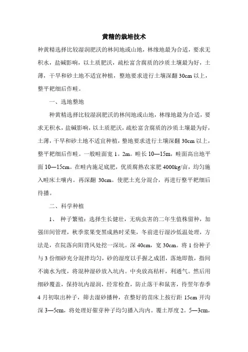 黄精的栽培技术