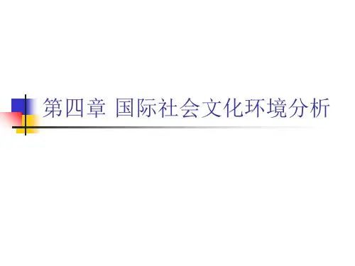 国际社会文化环境.ppt