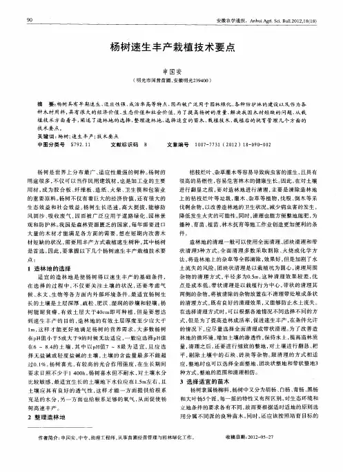 杨树速生丰产栽植技术要点