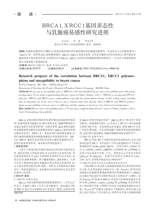 BRCA1、XRCC1基因多态性与乳腺癌易感性进展