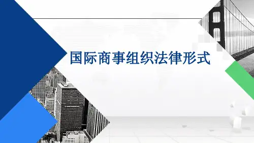 国际商事组织的法律形式