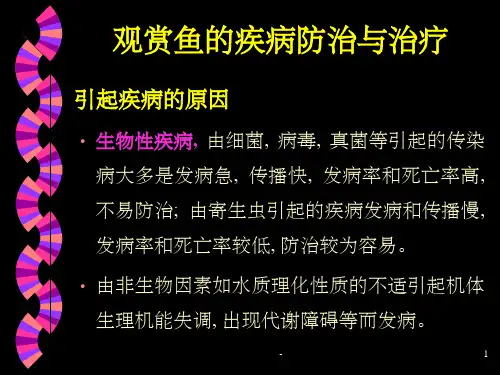 第七章 常见观赏鱼的病害防治 ppt