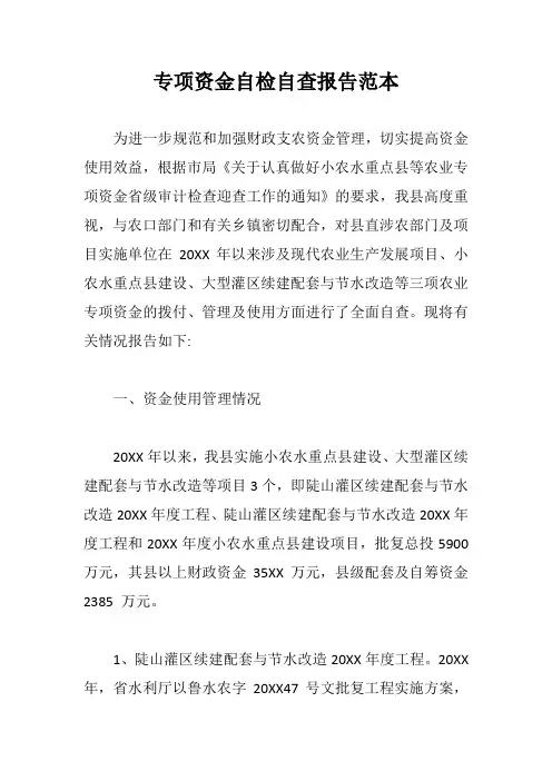 专项资金自检自查报告范本【最新版】