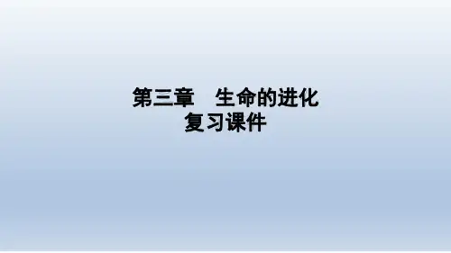 鲁科版五四学制生物八年级下册第三章 生命的进化 复习课件共45张