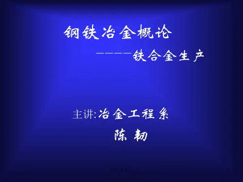 钢铁冶金概论完整版本