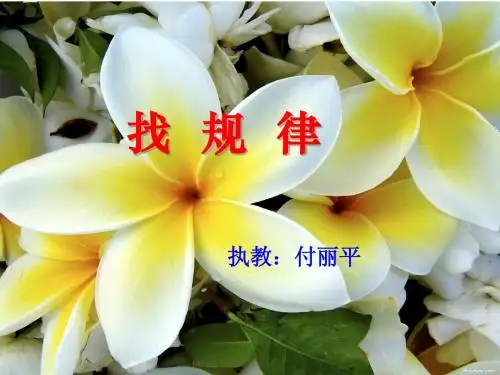 人教版小学数学一年级下册《找规律》1