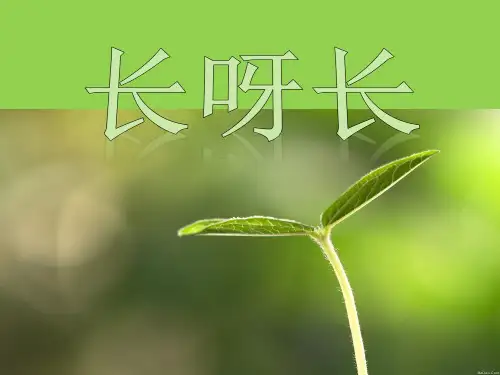 人美版小学美术课件 二年级下册 第2课_长呀长ppt