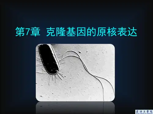 克隆基因的表达