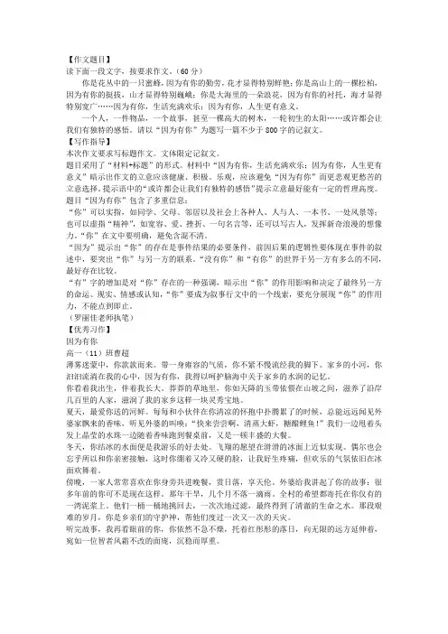因为有你作文导写与评讲(教案设计)