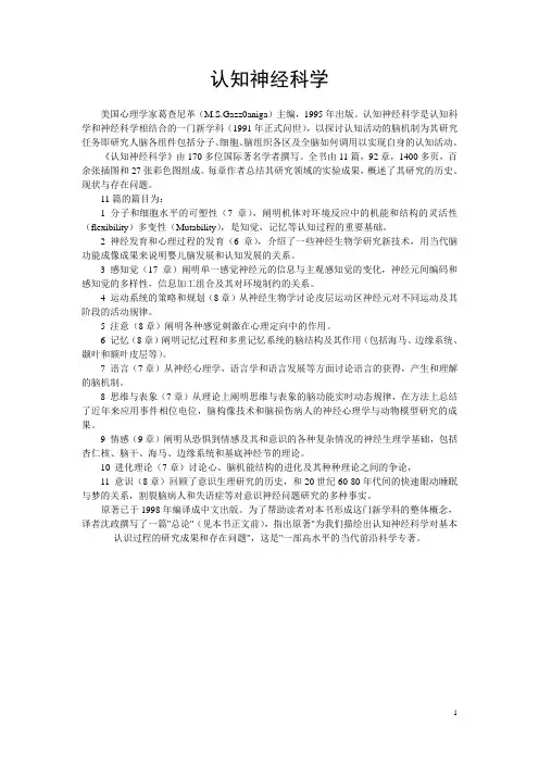 认知神经科学解读