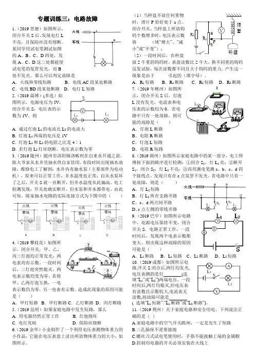 专题训练三：电路故障(附答案)