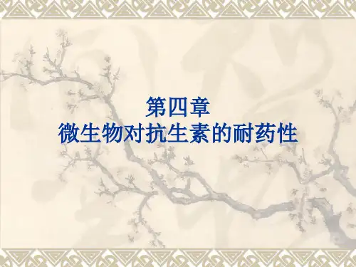 第4章微生物对抗生素的耐药性