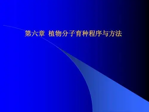 6第六章  植物分子育种程序与方法