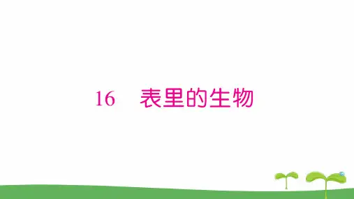统编版202016 表里的生物课件
