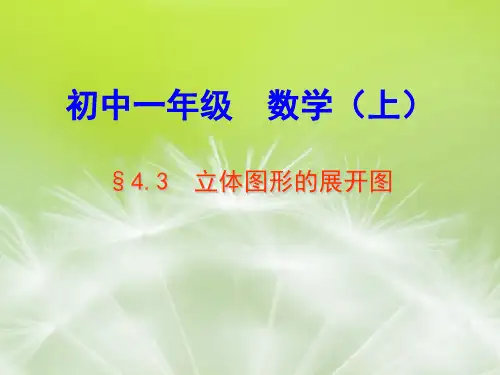 立体图形和表面展开图PPT教学课件