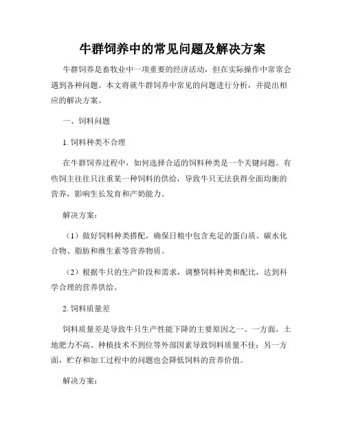 牛群饲养中的常见问题及解决方案