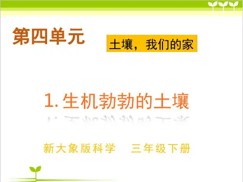 大象版新教材小学科学三年级下册41生机勃勃的土壤教学课件