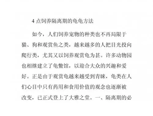 4点饲养隔离期的龟龟方法