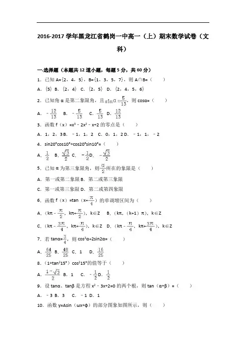 黑龙江省鹤岗一中2016-2017学年高一上学期期末数学试