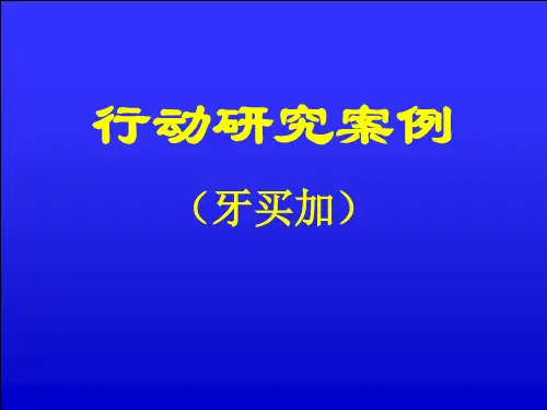 行动研究的一个例子