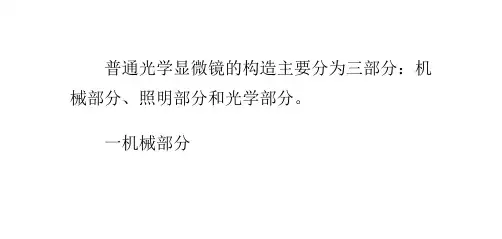 光学显微镜的构造介绍