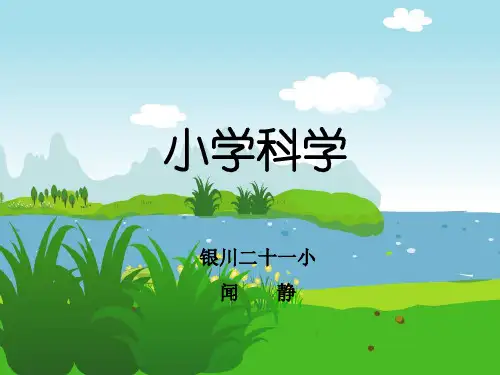 4.种类繁多的动物