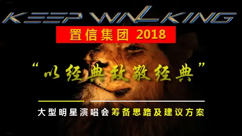 某大型明星演唱会筹备思路及建议方案精编PPT