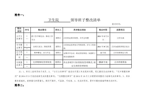 班子和个人整改清单