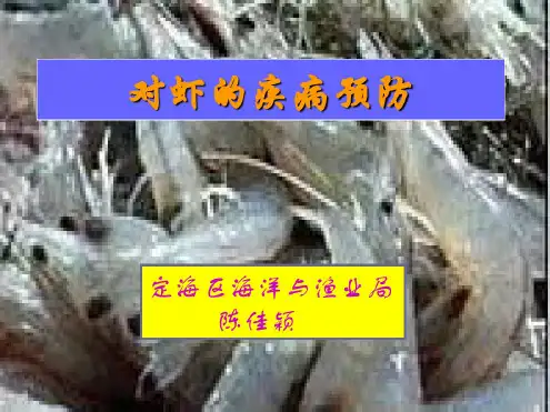 对虾疾病的预防和治疗