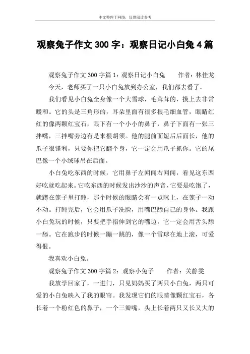 观察兔子作文300字：观察日记小白兔4篇