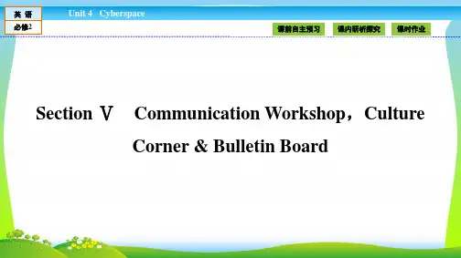 【最新】高中(北师大版)英语必修2课件：Unit 4 Cyberspace4.5.ppt