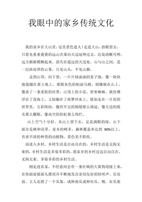 我眼中的家乡传统文化