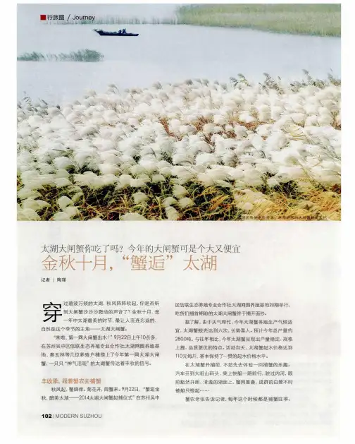 太湖大闸蟹你吃了吗?今年的大闸蟹可是个大又便宜金秋十月,“蟹