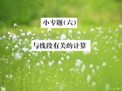 七年级数学上册小专题六与线段有关的计算习题课件5