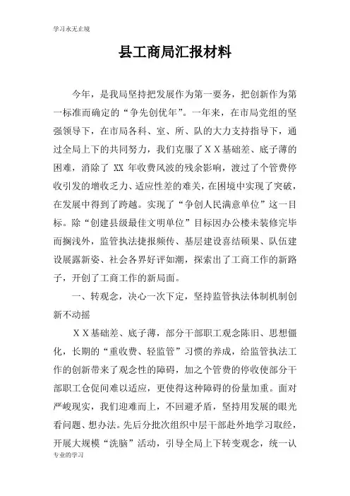 县工商局汇报资料性文件材料