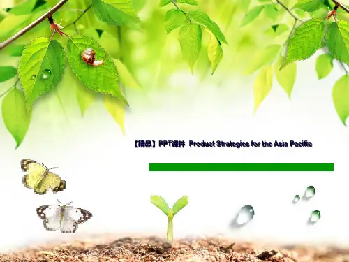 【精品】PPT课件  Product Strategies for the Asia Pacific