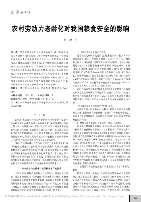 农村劳动力老龄化对我国粮食安全的影响_何福平(政策建议)