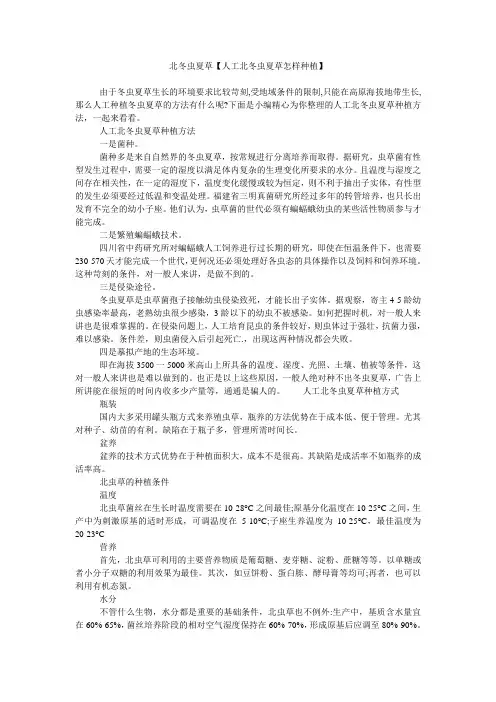 北冬虫夏草【人工北冬虫夏草怎样种植】