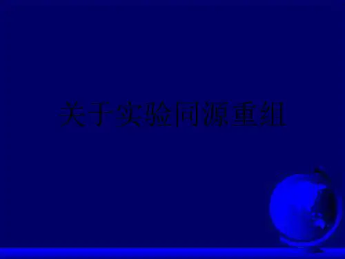 关于实验同源重组课件