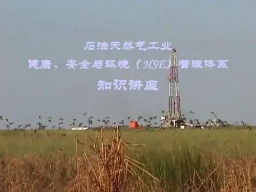 HSE基本知识