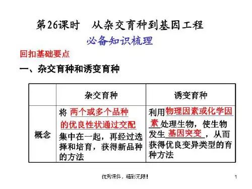 从杂交育种到基因工程