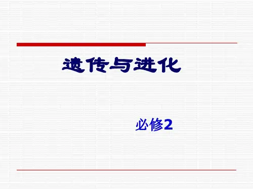 孟德尔的豌豆杂交实验一(完整版)