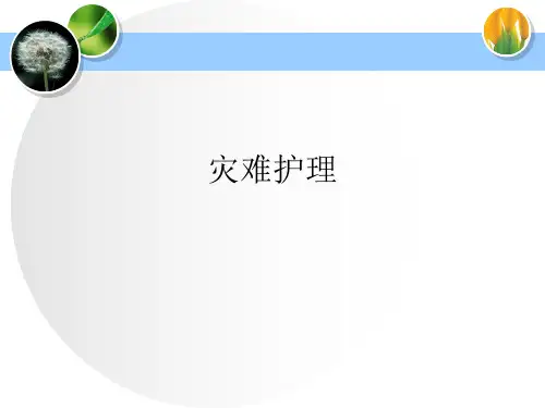 灾难护理ppt课件