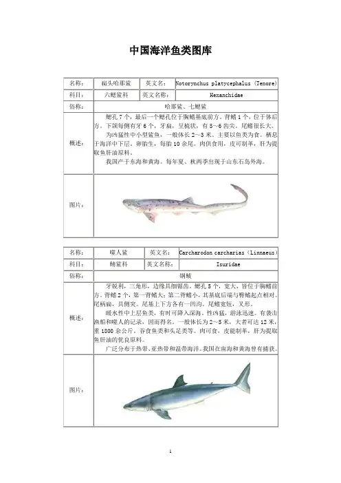 中国海洋鱼类图库