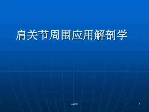 肩关节应用解剖--关节与肌肉 ppt课件