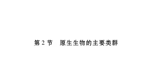 原生物的主要类群