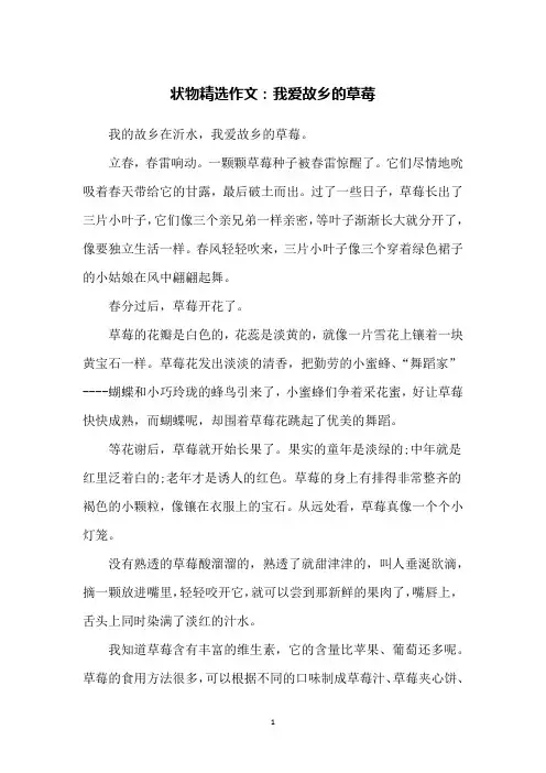 状物精选作文：我爱故乡的草莓