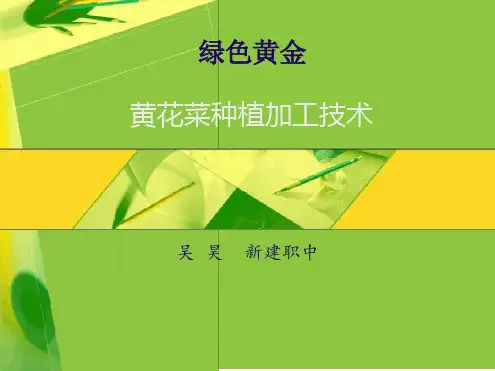 黄花菜种植技术
